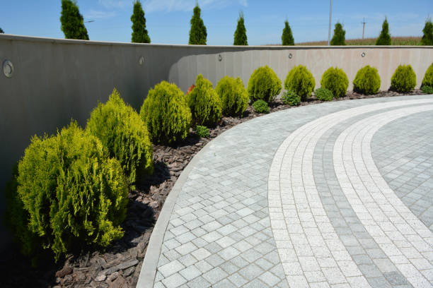 Best Professional Driveway Pavers  in White Settlement, TX
